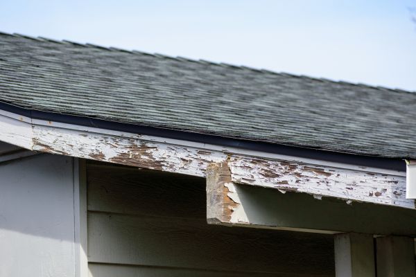 Lancaster Wood Rot Repair