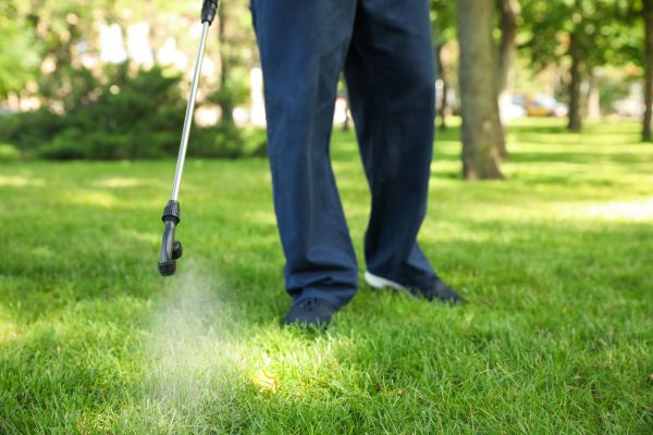 Lancaster Lawn Treatment